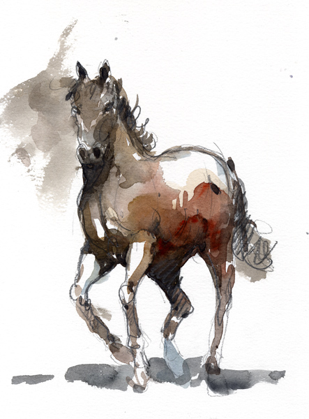 Watercolor Painting of Horses Eye